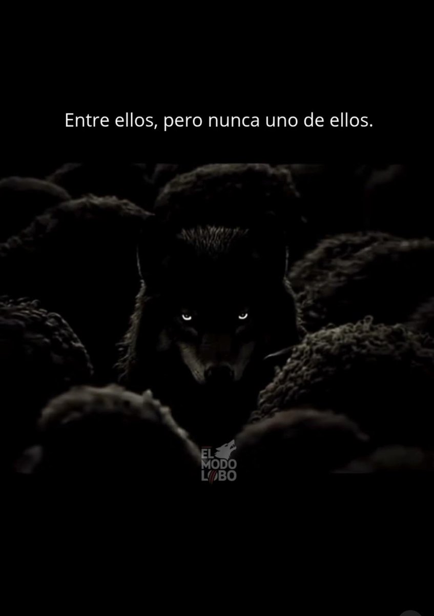 BANDIDOS (@bandidosfrasess) on Twitter photo 