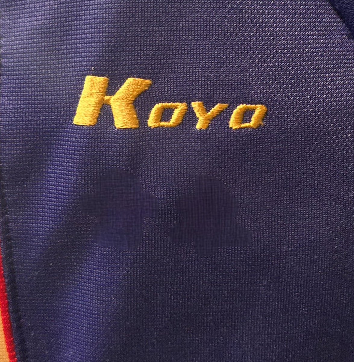 ぎんねこ (@yakitoriginneko) / Posts / X