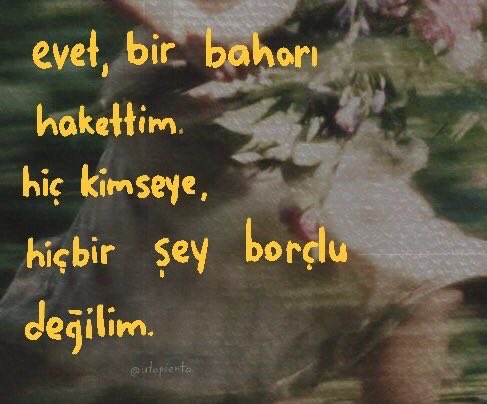 tumblr. (@theistumblr) on Twitter photo 