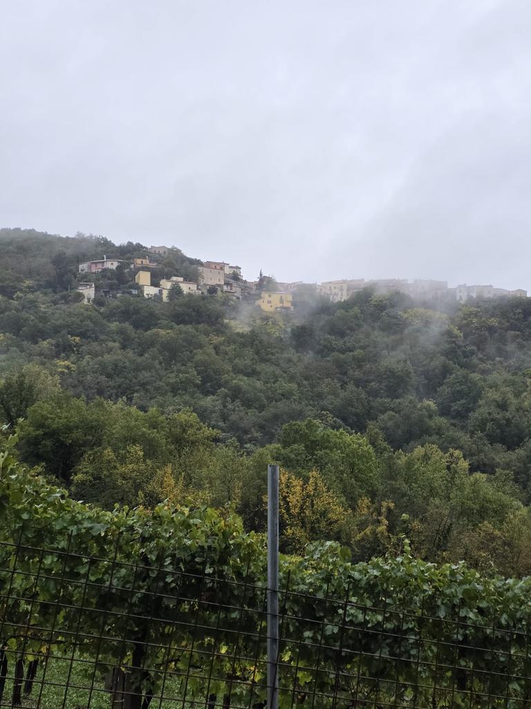 È la mia giornata di riposo e malgrado la pioggia non potevo rinunciare ad una bella camminata 
Buona giornata a tutti voi