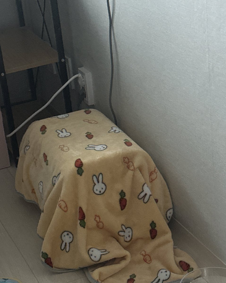 우리집 새식구를 소개합니다....☁️