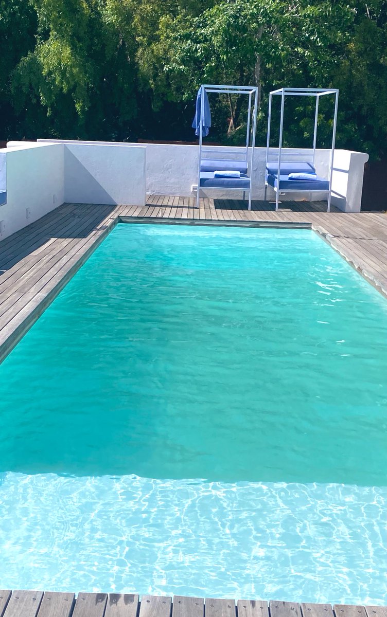 Noel Kamoto tweet media