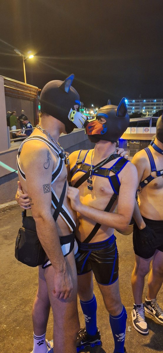 pup_sprite tweet media