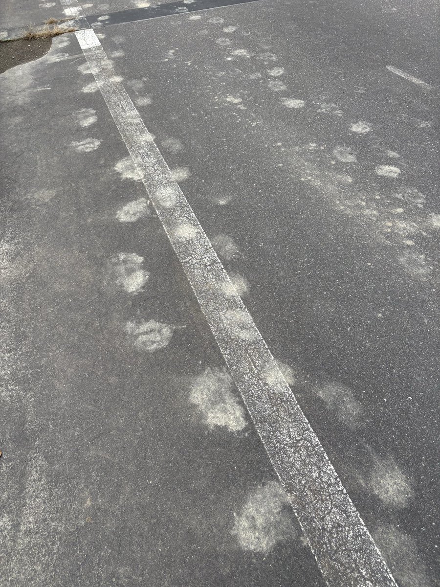 namakedeo's tweet photo. 一人で 釣りしてるけど  熊の足跡とか怖過ぎる😳 https://t.co/f3tLRO8nyL