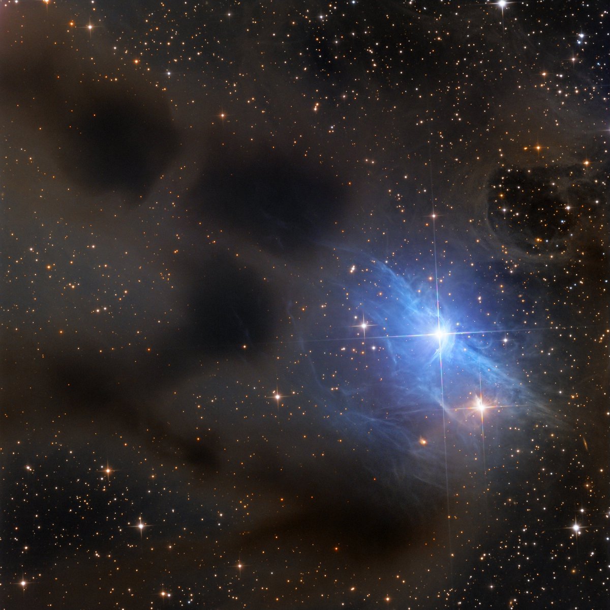 'Reflections on vdB  31'
Image Credit &amp; Copyright: Adam Block, Mt. Lemmon SkyCenter, U. Arizona 
apod.nasa.gov/apod/ap170311.… 03-11-2017
#space #astronomy