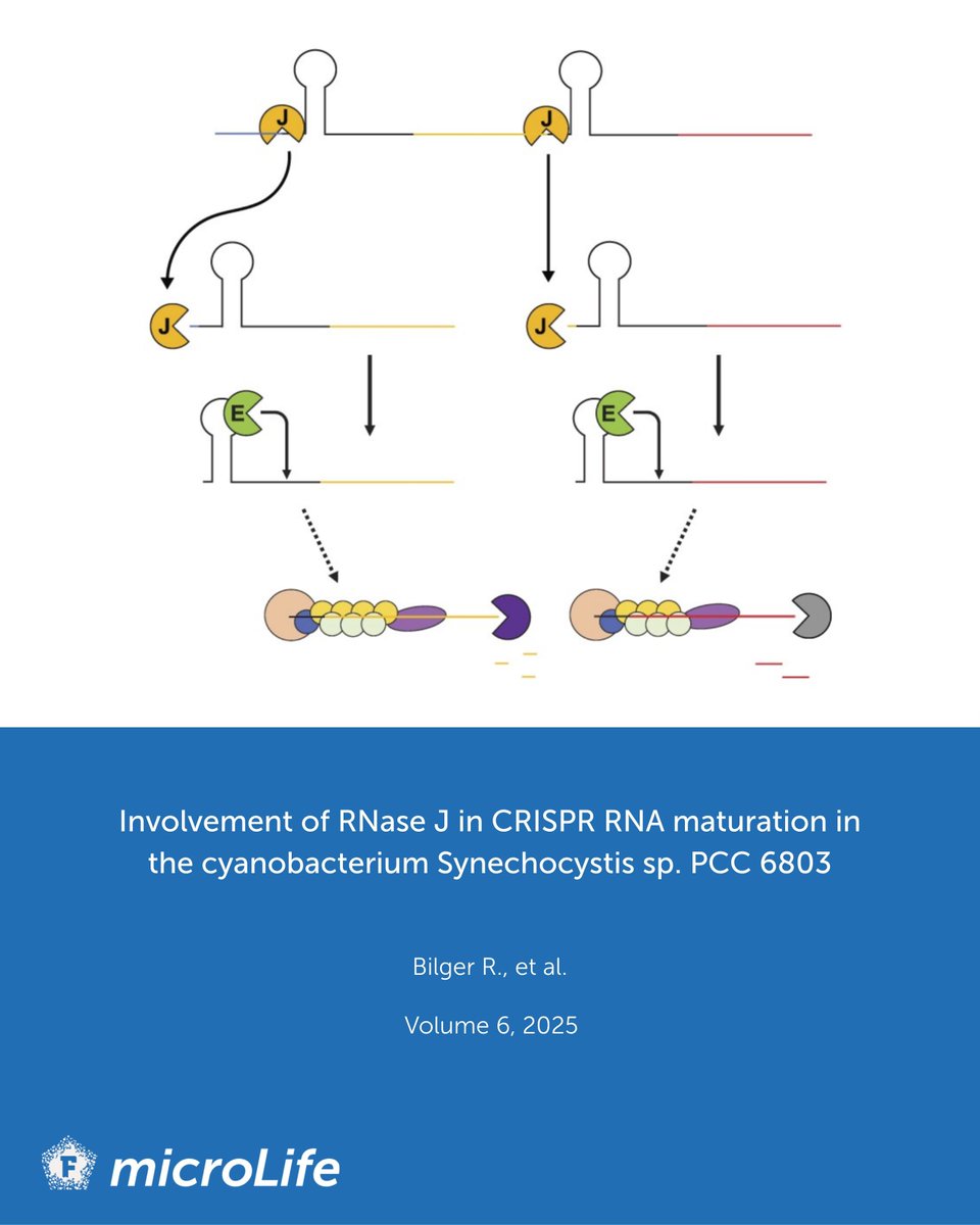 microLife tweet media