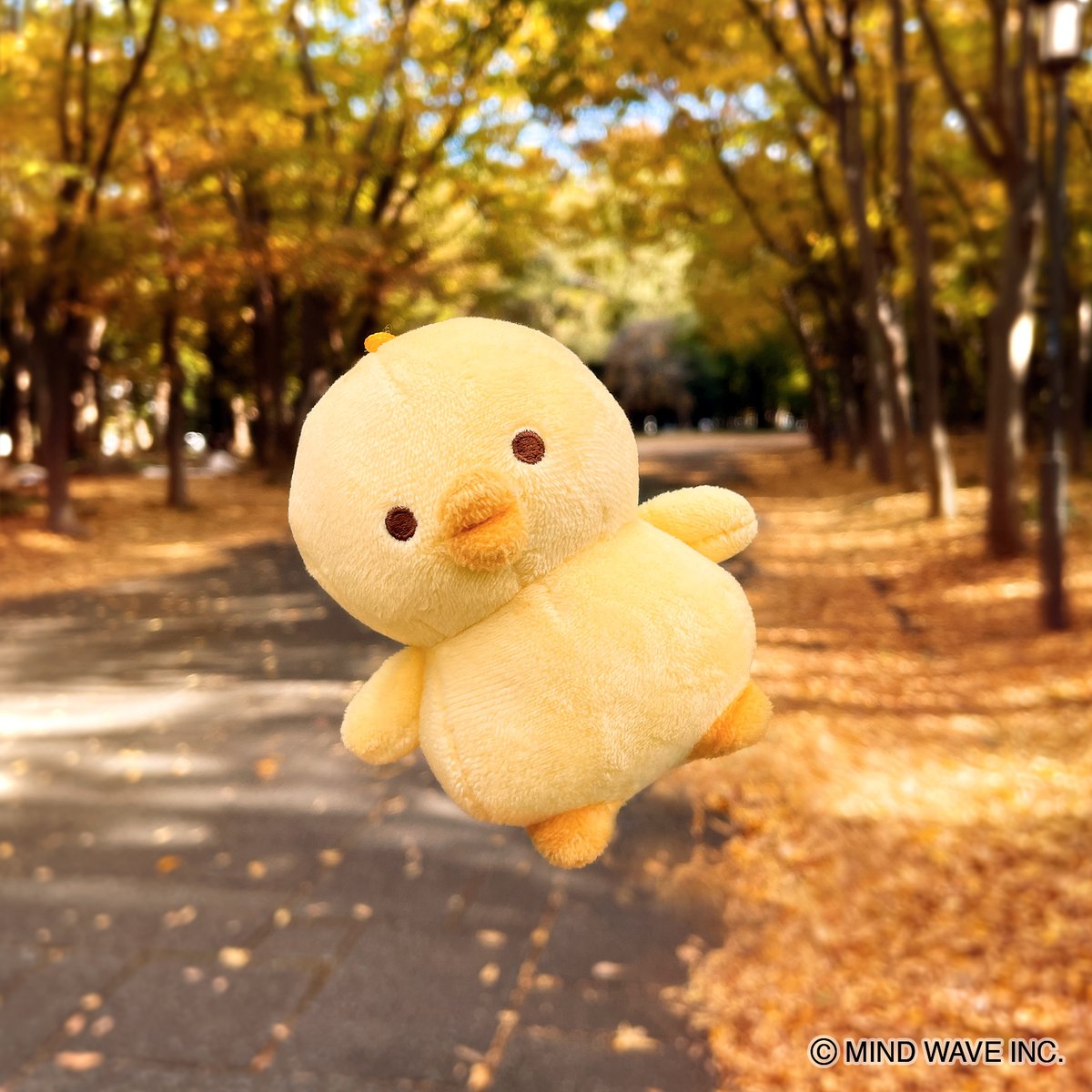 ぴよぬい🐥 (@piyonui_mw) on Twitter photo 秋___、それは食欲の季節。
#ぴよこ豆 #ぴよぬい 秋___、それは食欲の季節。
#ぴよこ豆 #ぴよぬい