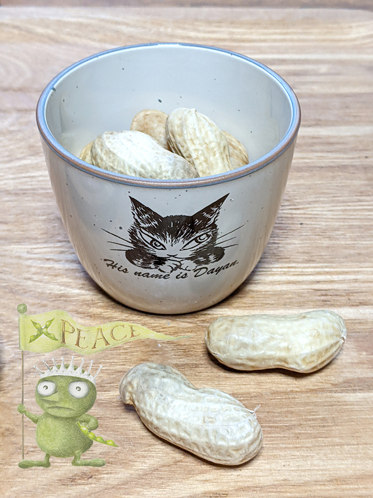 わちふぃーるどオンラインショップ (@wachi_online) / Posts / X