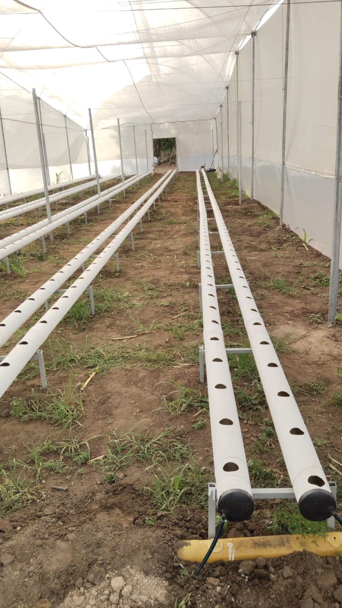 🌱 In Armero-Guayabal, #Colombia, FSD is supporting conflict #victims through a large-scale hydroponic #greenhouse project — strengthening livelihoods and community resilience.

FSD recently organised an outdoor integration day to encourage #teamwork among participants.