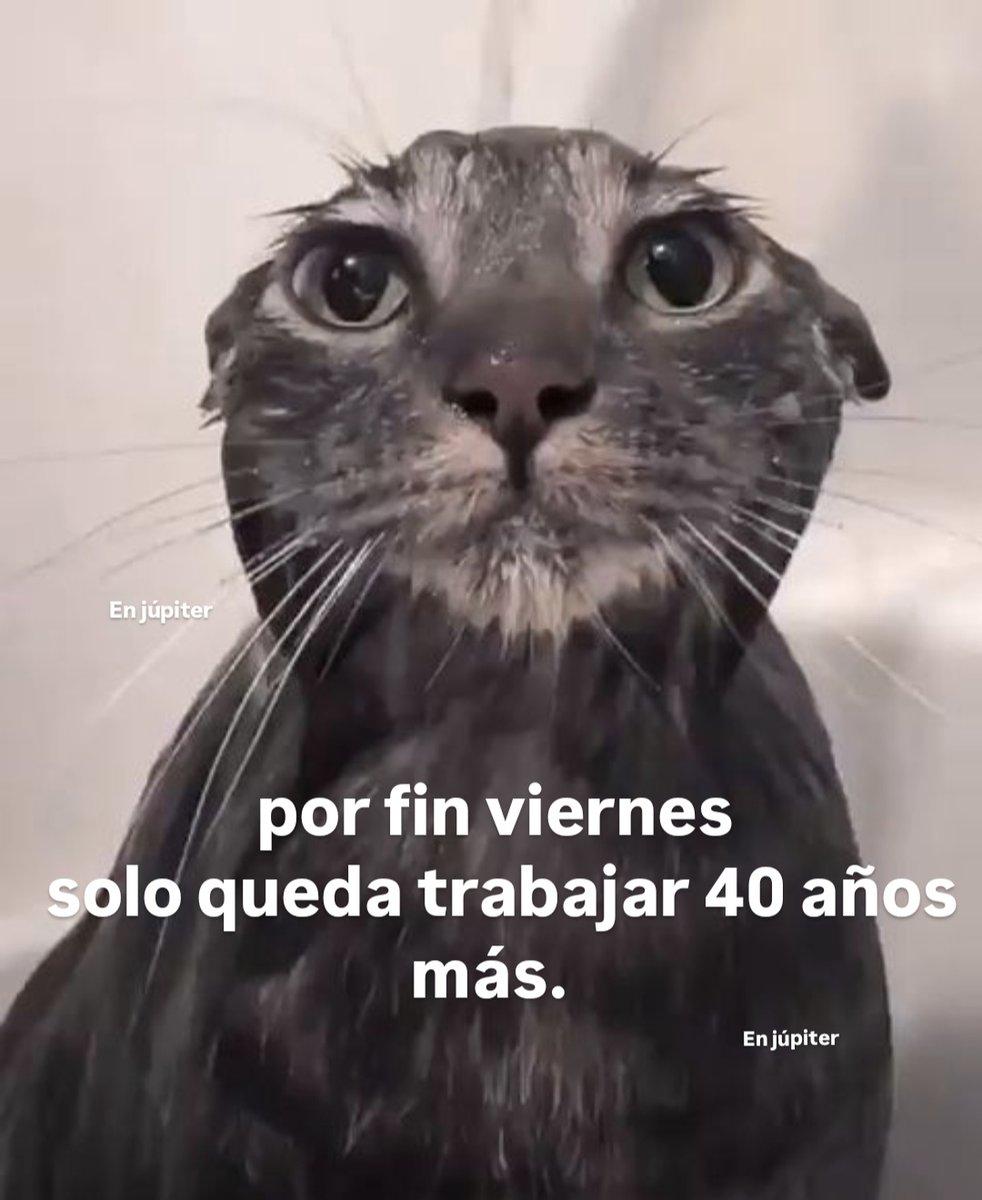 En Júpiter (@en_jupiter_) on Twitter photo 