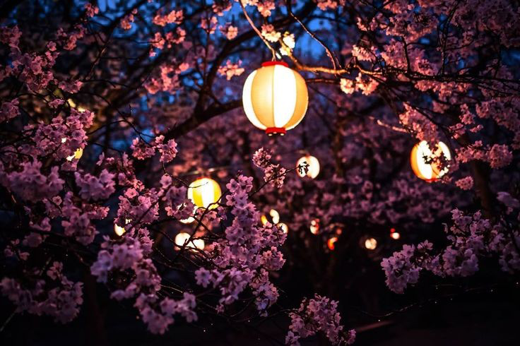 Kumadai_RP's tweet image. lounge : 𝘵𝘢𝘬𝘢𝘮𝘢𝘨𝘢𝘩𝘢𝘳𝘢 𝘩𝘢𝘭𝘭.