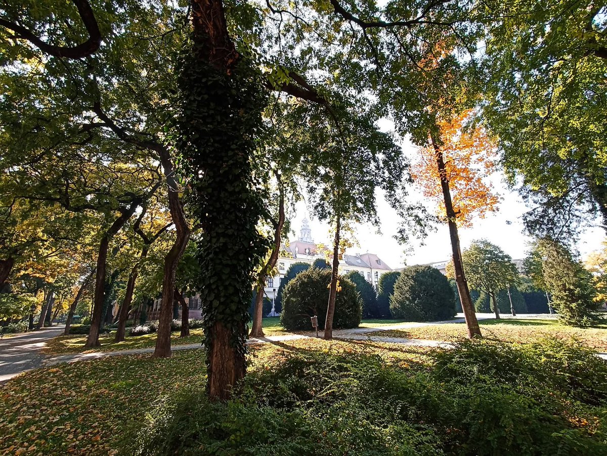 Volim sunce pa neka je i hladno