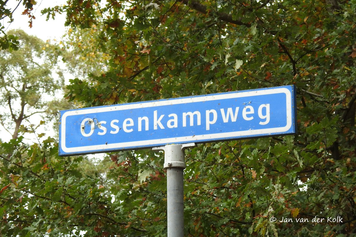 BekiekTwente's tweet photo. Nieuw verhaal in mijn podcast:
'Op en rond De Mekkelink | Rhaan' 
#DeVerhalenLiggenOpStraat
https://t.co/y17N8bHsLz 
#Rhaan #EelenEnRhaan #Hellendoorn
#Salland #Twente #BekiekTwente https://t.co/pVNjsBAlWV