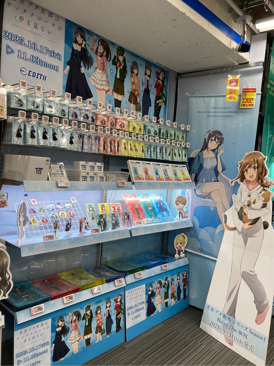 3・ω・)ゆうふじ！ 本日10/17(金)から、6階にて 「青春ブタ野郎は