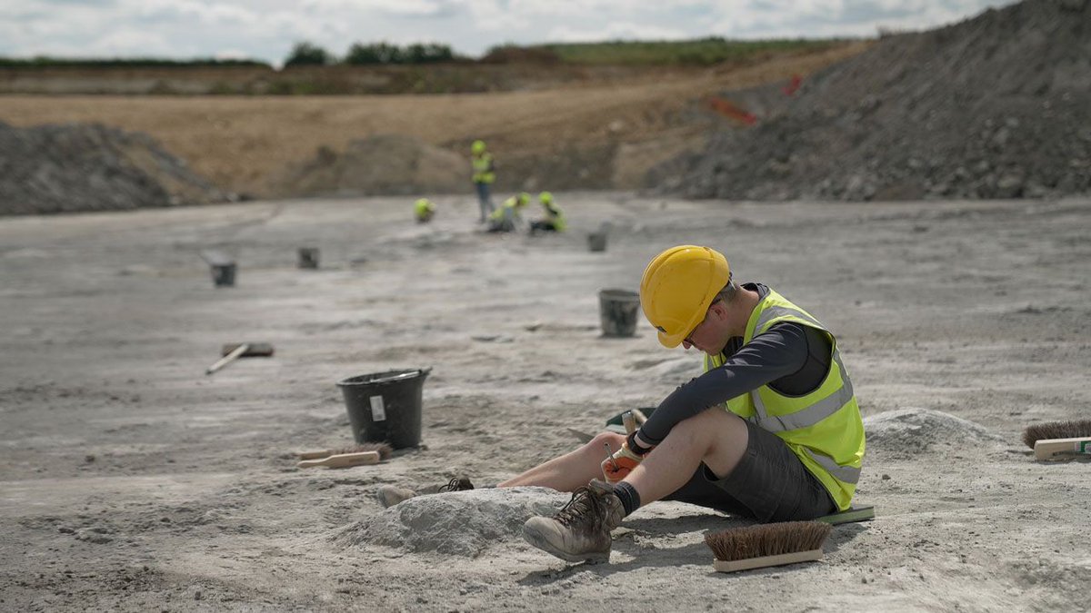 CODE Maths Hub (@codemathshub) on Twitter photo It's #FunFactFriday and we never promised that all our facts would be Maths related...so today we're looking at...dinosaurs!
One of the longest dinosaur trackways uncovered in Oxfordshire quarry (how's about that <a href="/BBOMathsHub/">BBO Maths Hub</a>!). Read more about it here buff.ly/VY7oLOM It's #FunFactFriday and we never promised that all our facts would be Maths related...so today we're looking at...dinosaurs!
One of the longest dinosaur trackways uncovered in Oxfordshire quarry (how's about that <a href="/BBOMathsHub/">BBO Maths Hub</a>!). Read more about it here buff.ly/VY7oLOM