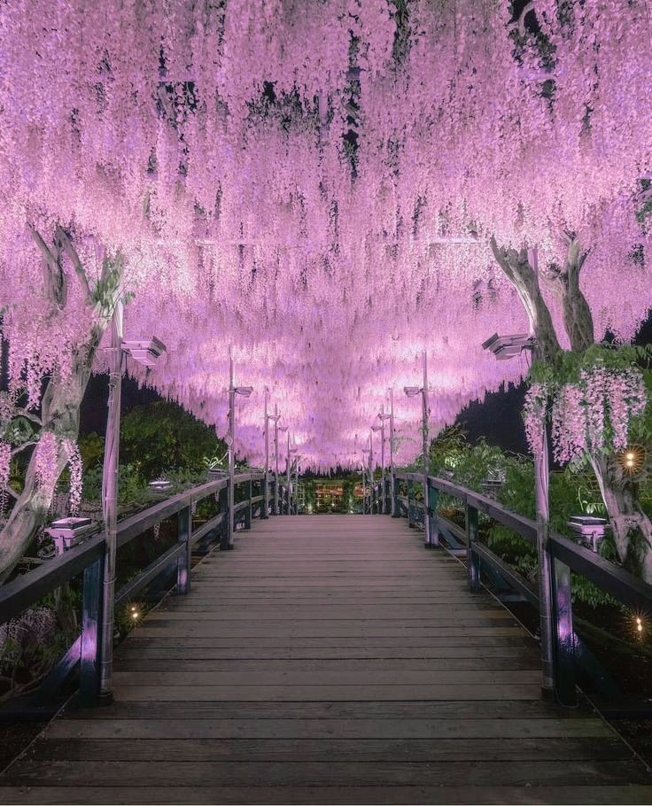 Kumadai_RP's tweet image. lounge : 𝘵𝘢𝘬𝘢𝘮𝘢𝘨𝘢𝘩𝘢𝘳𝘢 𝘩𝘢𝘭𝘭.