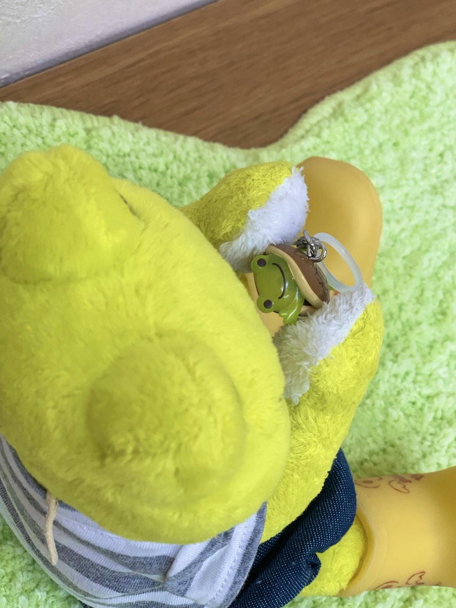 どら焼きいただきまぁ〜す🎶

んっ？👀

#かえるのピクルス
#picklesthefrog
#ぬい撮り
#飛馬日本