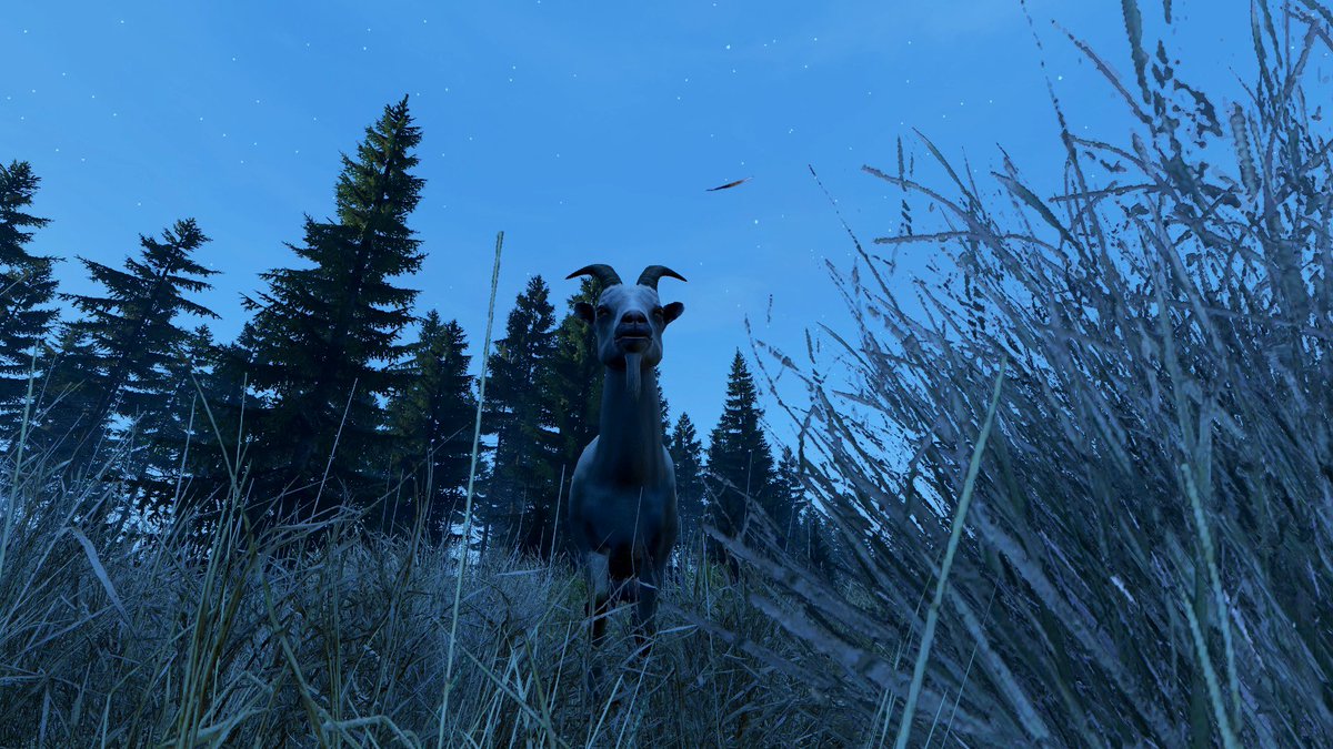 It’s been 5 years since we had a run in with a DayZ legend! 

It’s a huge reason why I’m still doing this today.

Today we celebrate with some DayZ and a very special VOD!

Live now on YT and Twitch!

Twitch.tv/DemZ_
Youtube.com/@DemZ in 1440p