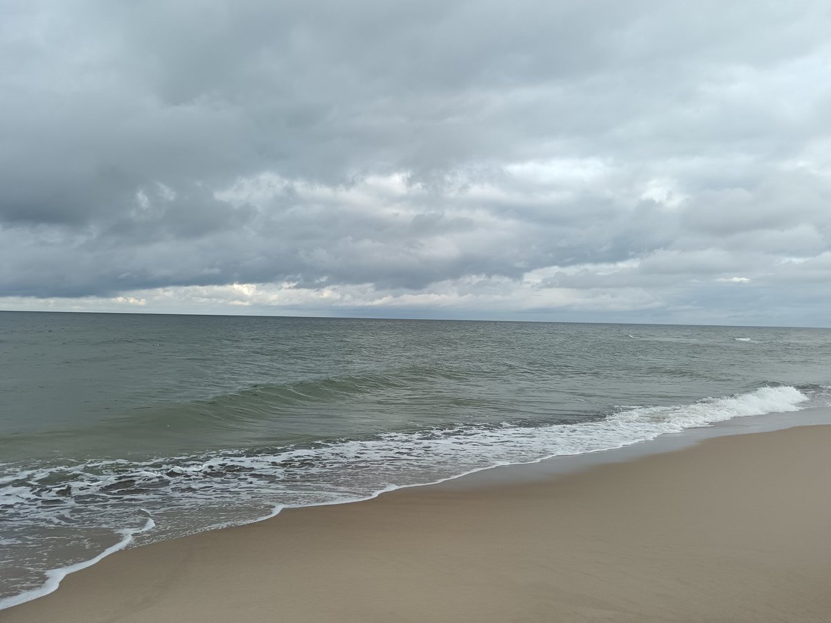 🌸 Daalia 🌸 tweet media