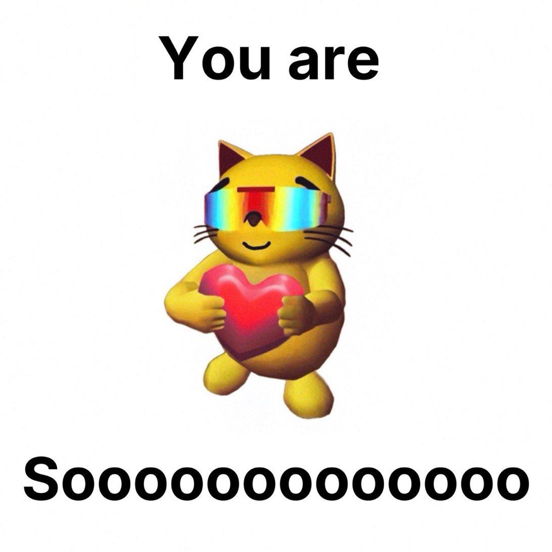 $MOG CAT tweet media