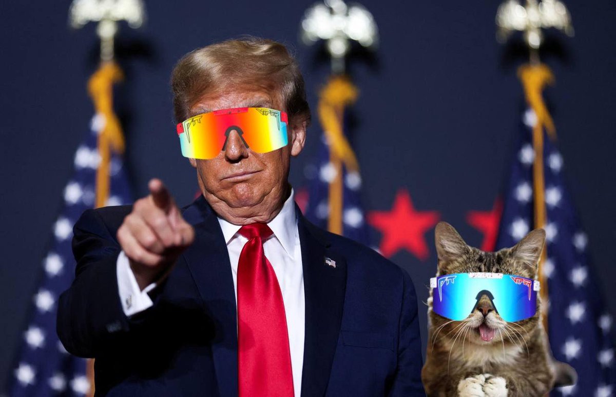 $MOG CAT tweet media