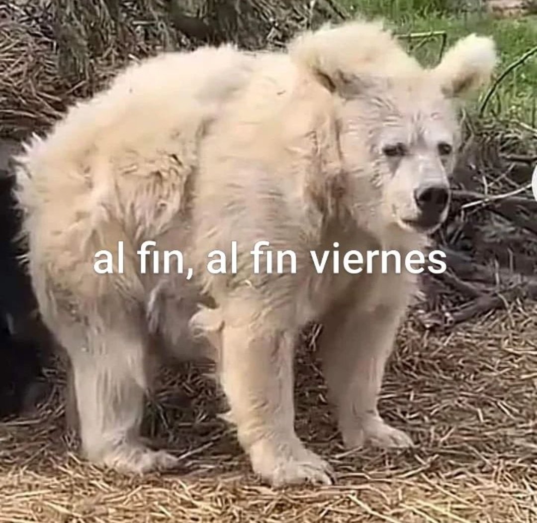 En Júpiter (@en_jupiter_) on Twitter photo 