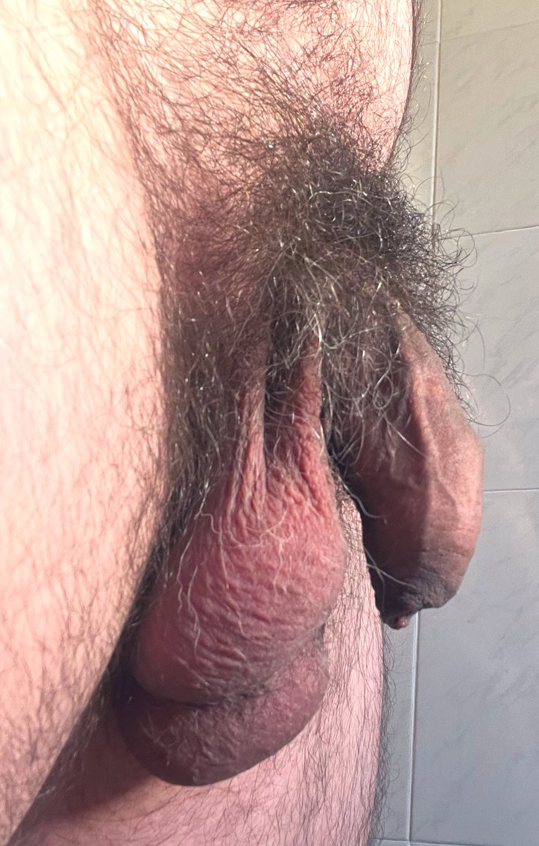 THE FOREY STORY tweet media