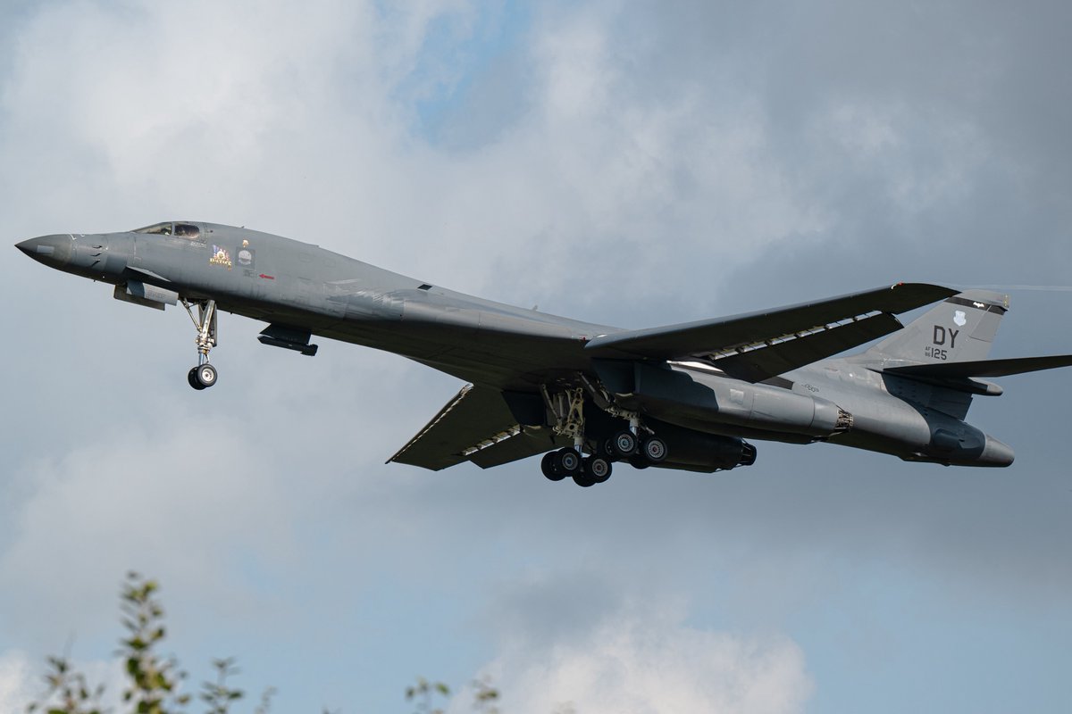 Wild Weasel tweet media