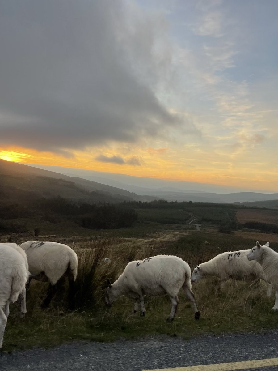 justbehappii's tweet photo. Dime q hiciste un roadtrip en Irlanda sin decirme que que hiciste un roadtrip en Irlanda. https://t.co/t01lpxYJJl