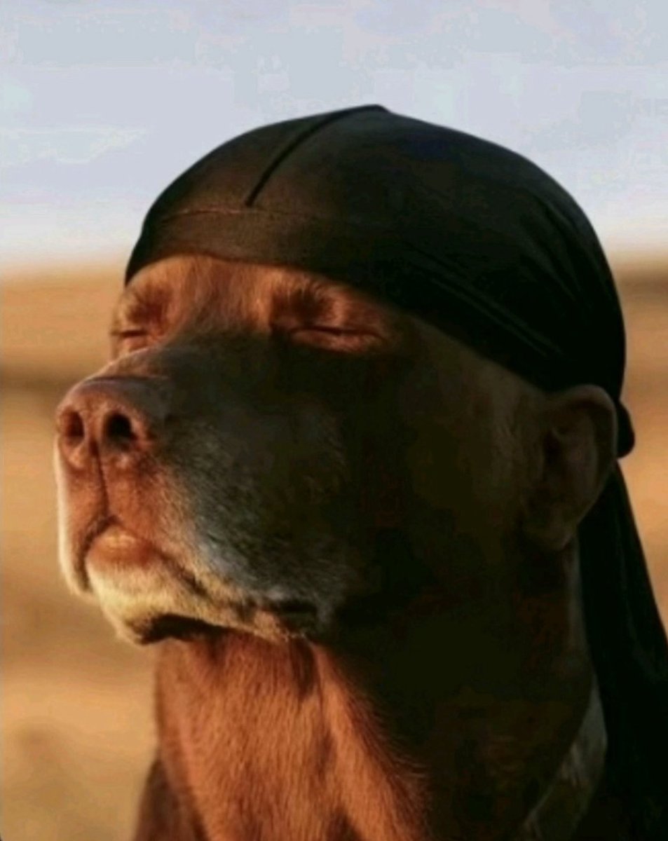 Average long term $RKLB investor