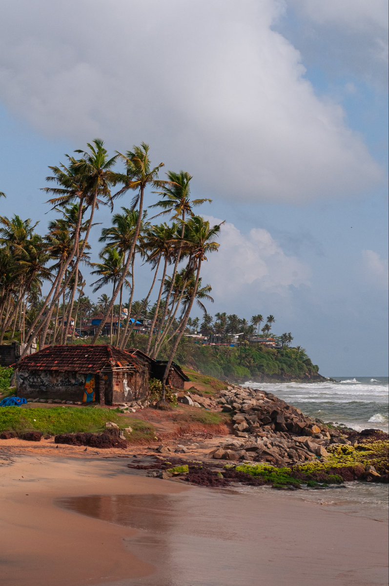 Yathin_JP's tweet image. Posted these to IG already but these were my favs from my trip to Kerala