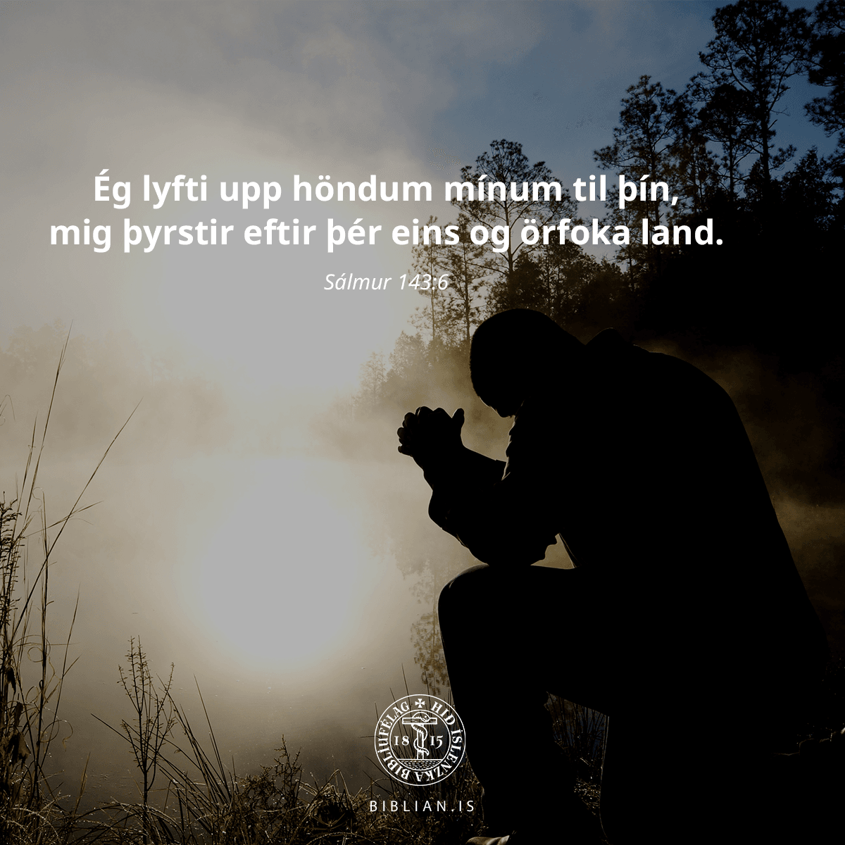 Hið íslenska biblíufélag (@bibliufelagid) on Twitter photo 