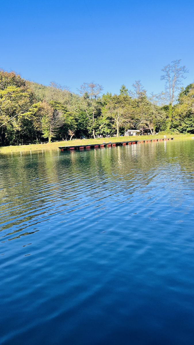 ニレ池
15:00〜17:00
放流効果？
エサ釣り場開放の恩恵？
爆裂に釣れました🔥
後半ほぼ1投1匹
スプーン渋くなった後に上目クランク
狩り尽くそうと頑張りましたがタイムオーバー
俺にロックを釣る腕はなかった
明日も爆釣ですよ絶対