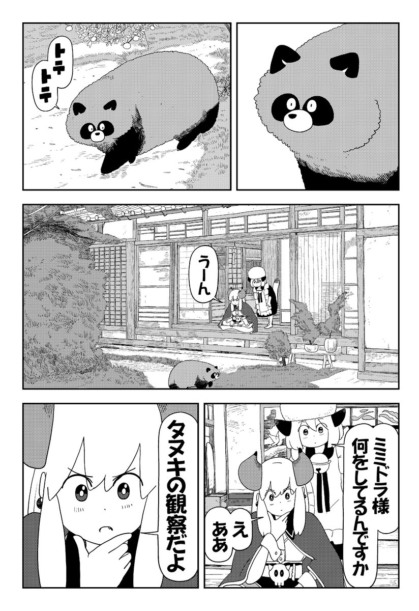 【注意】タヌキはビックリすると気絶することがあります!(2/3) 