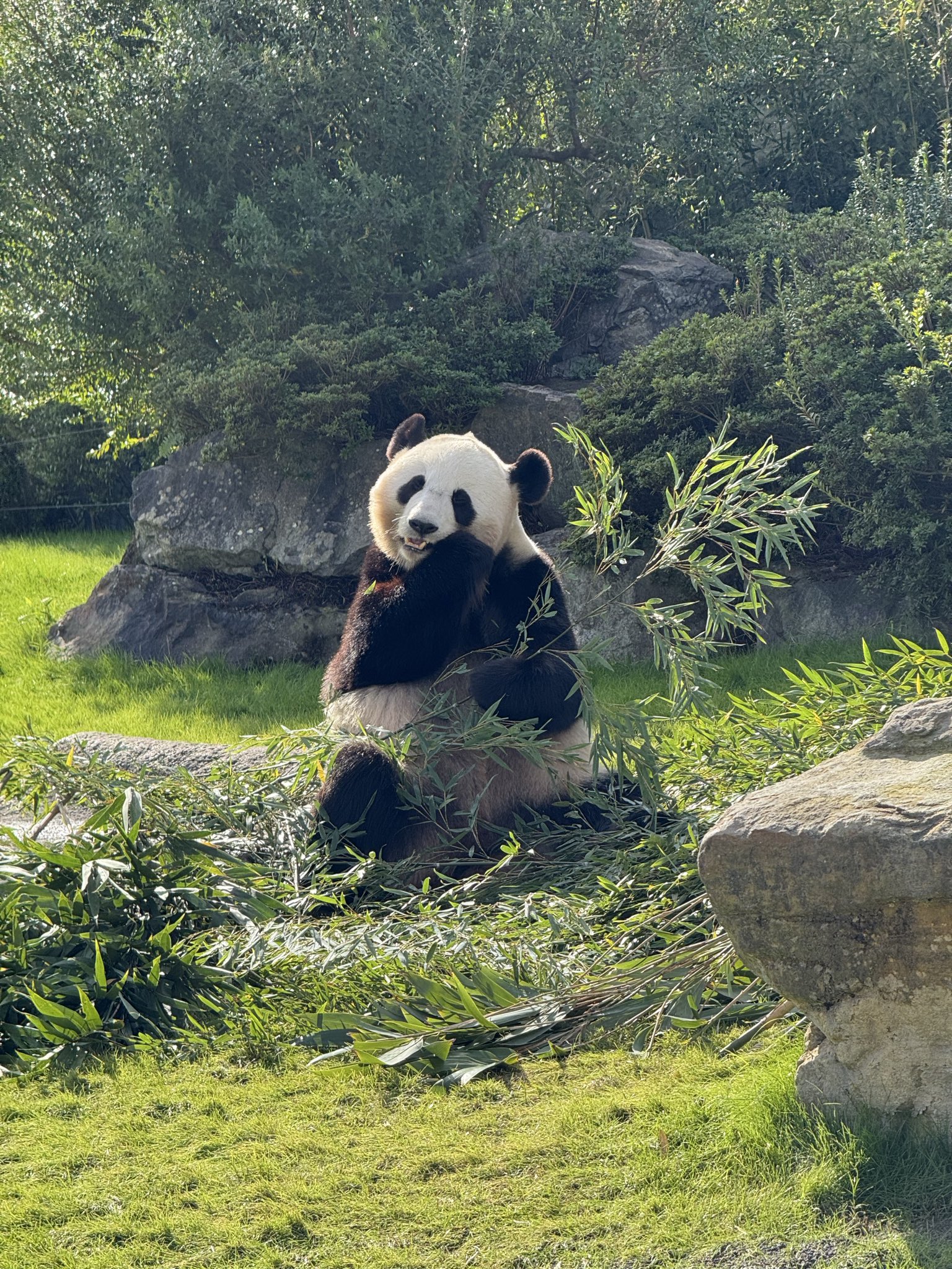 az (@az90339700) / X