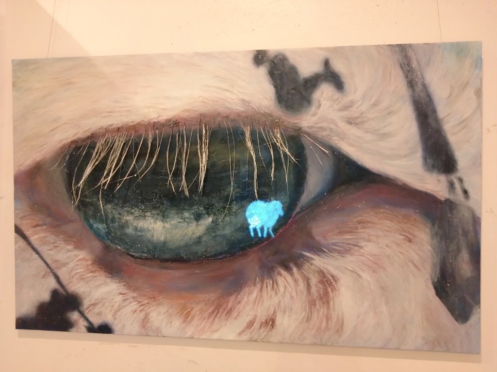 トットム🐇360 tweet media