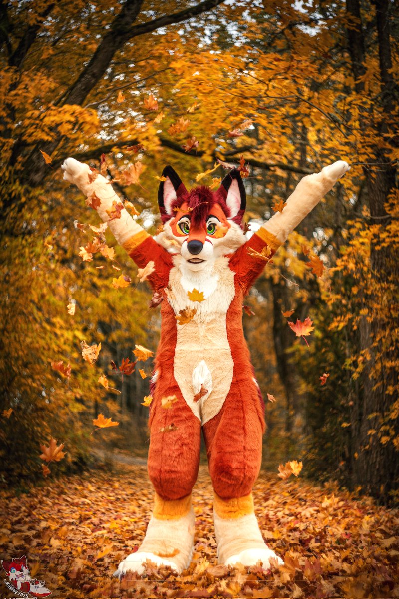 These colors might be the best part of the autumn season! 🍁
Happy #FursuitFriday!

📸: <a href="/KayJayFIN/">KayJay</a> 

#furry #fursuit #FursuitEveryday