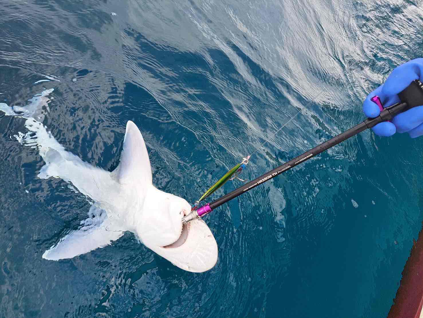 STUDIO OCEAN MARK_official (@oceanmark_2002) / X