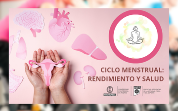 FCCAFyD (INEF). UPM tweet media