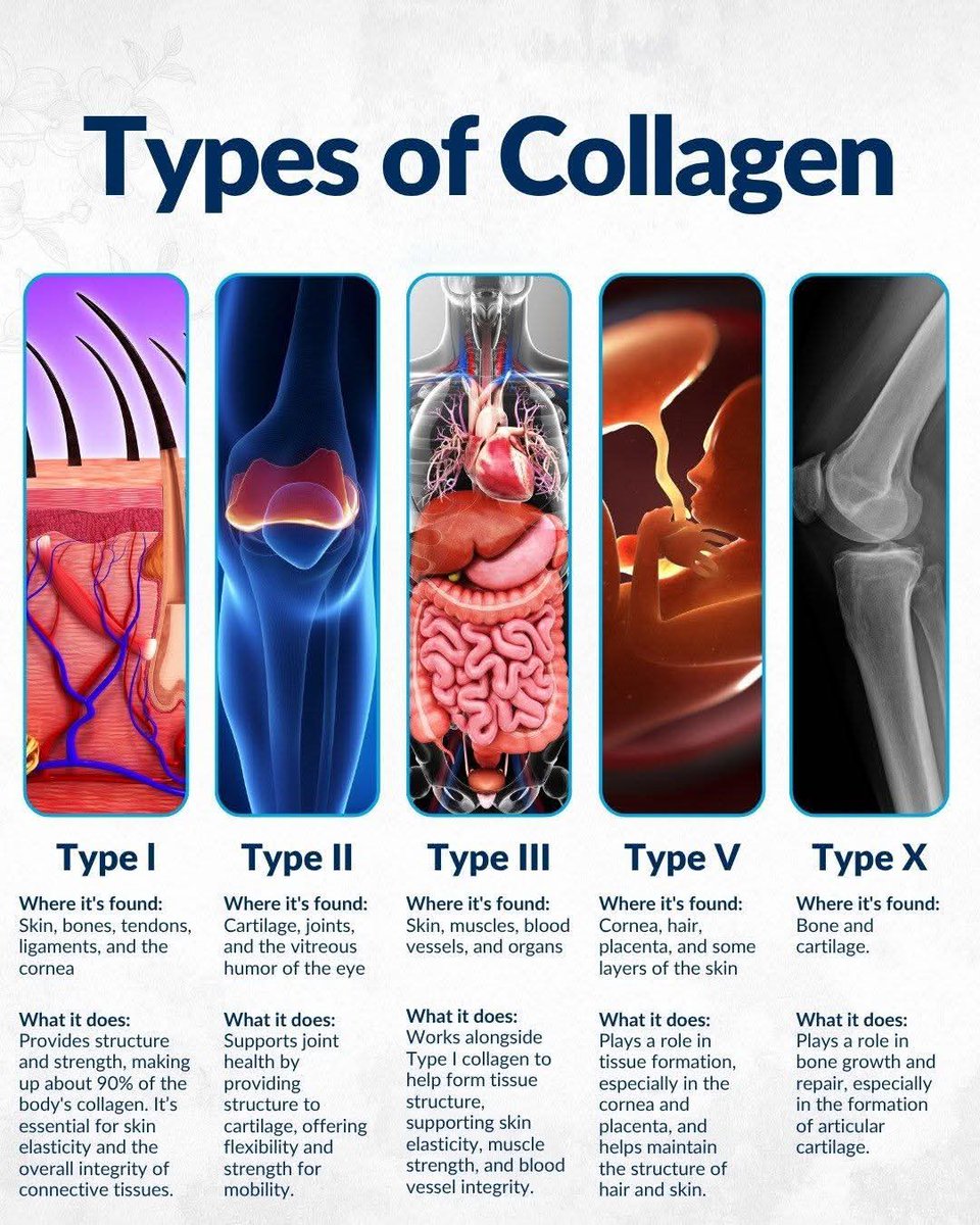 Types of collagen