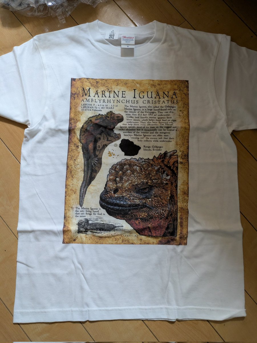 bronzegecko's tweet image. 明日はイベント被りのため、残念ながらコウレプ欠席です。
京都にて「いきもにあ2025」に出展しています。A通り 15番 協賛ブース
ぶりくら25周年記念グッズも少し持って行きます。よろしくお願い致します。
#いきもにあ2025  #burikura
#RogerHall #ぶりくら