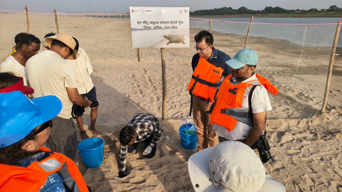 WWFINDIA's tweet photo. (1/2) During #WildlifeWeek 2025, @UpforestUp and WWF-India, with support from @Genpact, conducted a Training Programme on Community-led Species Conservation for riparian community members & field officials in Bhareh Village in Etawah district, Uttar Pradesh.
#WWFIndia https://t.co/8Cb3lVTjuY