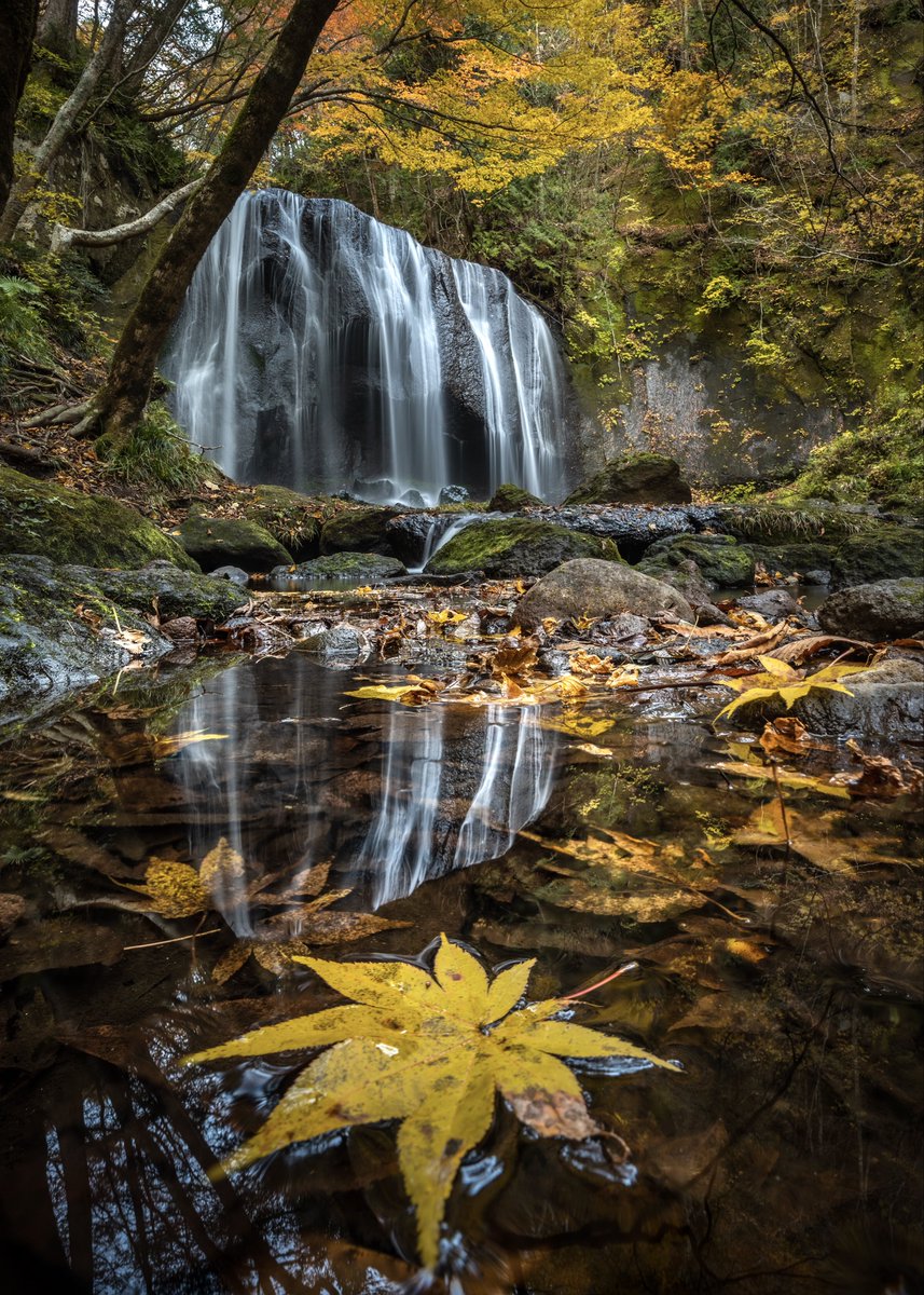 RyotaKawaguchi's tweet image. 福島で見られる紅葉の滝が美しい