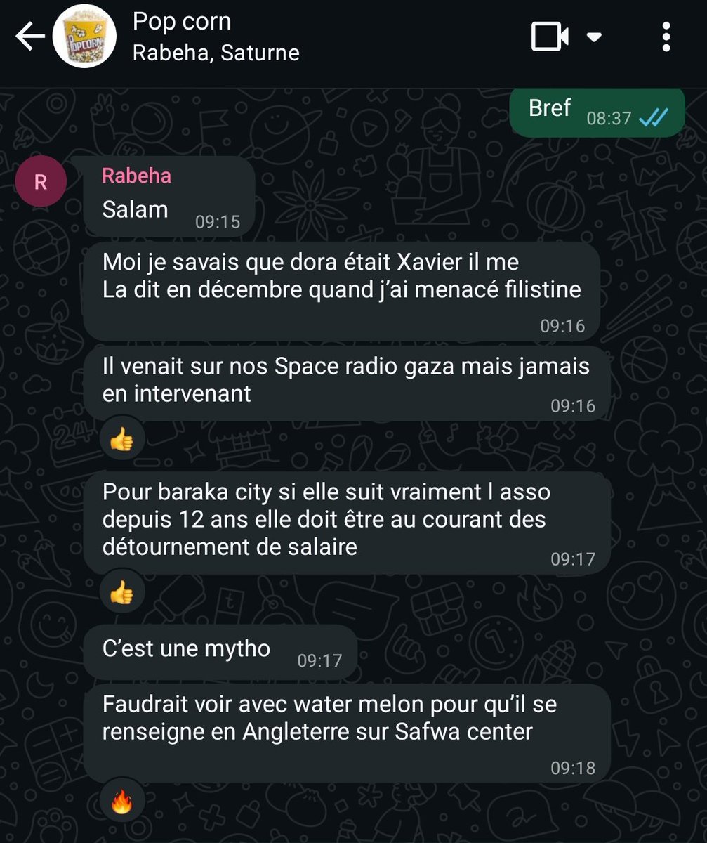 Marsmarsmars25's tweet image. Quand je vous disait que toute personne aui oeuvre pour la palestine aura une cible dans le dos