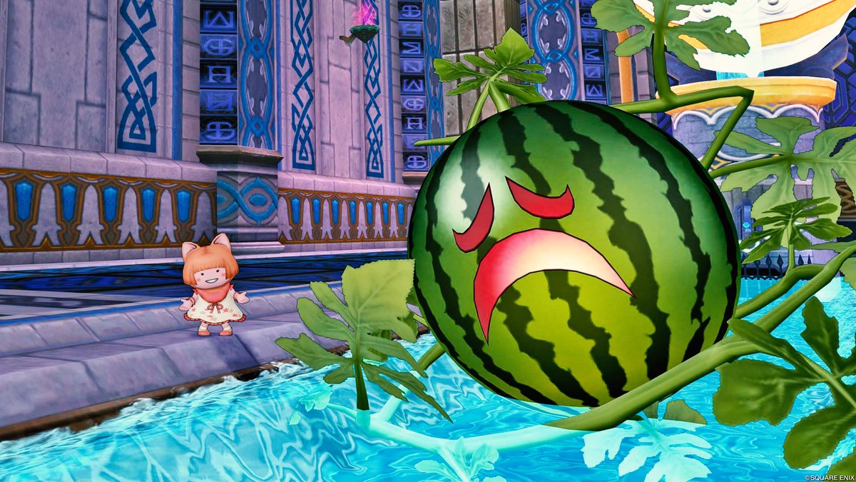 スイカ 様 専用 スイカ様専用！ スイカ様専用 スイカ様専用 スイカ様