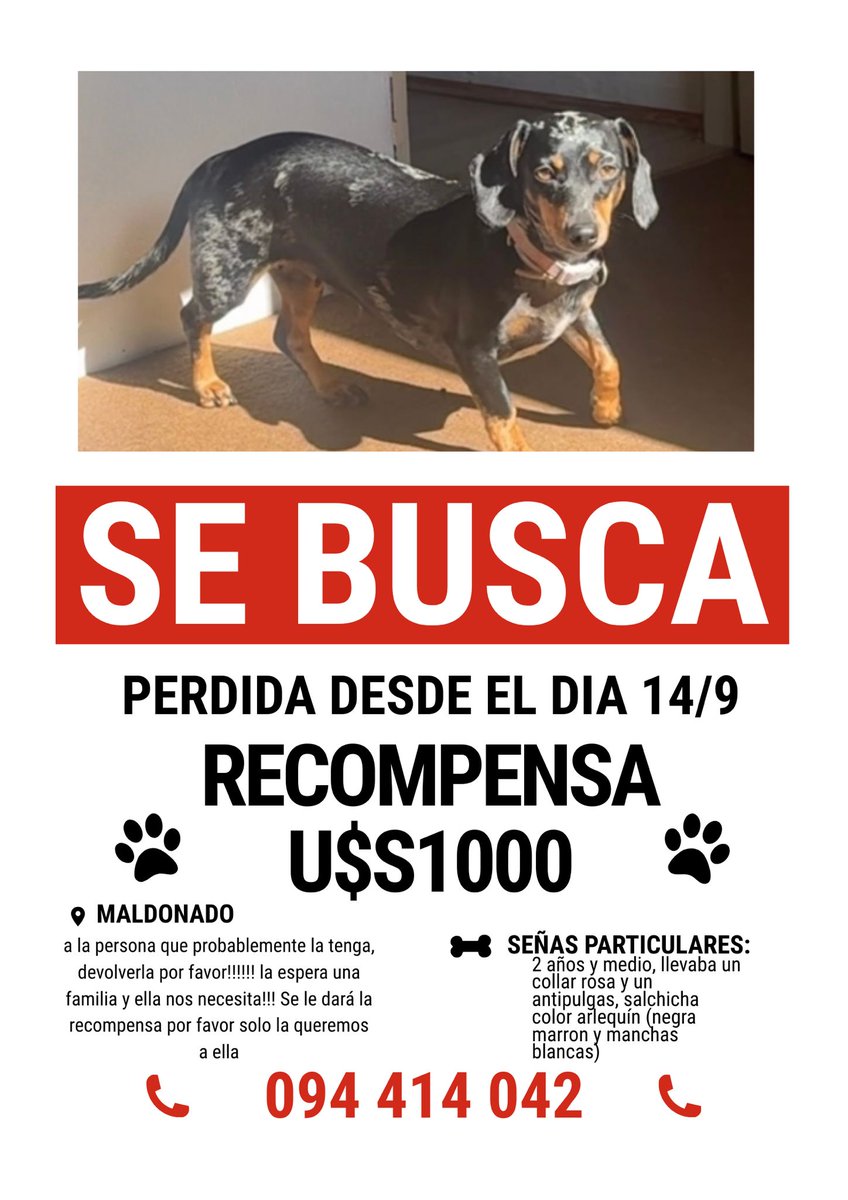 tatiigarzab's tweet image. Es de la hijita de una conocida. Se agradece difusión. 

Maldonado