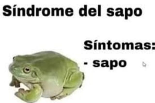 _eritrocito's tweet image. 