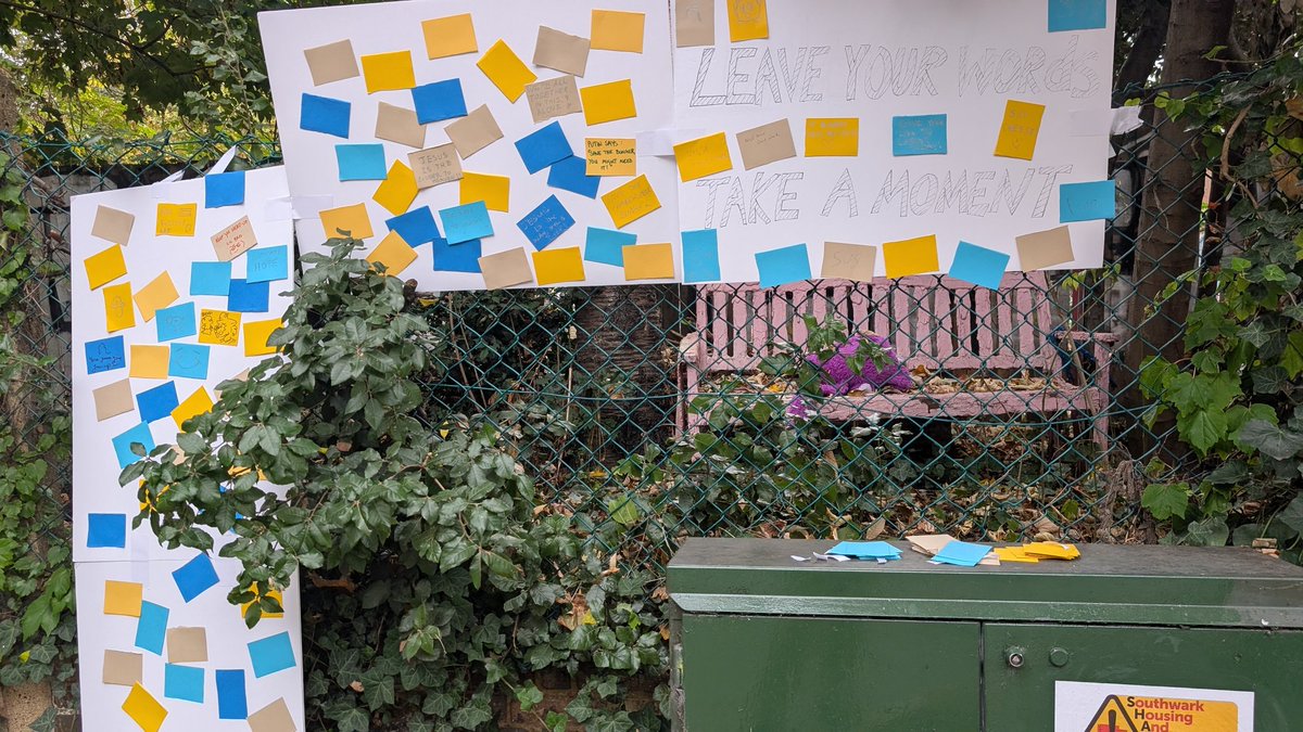 Collieflower 🌼 tweet media