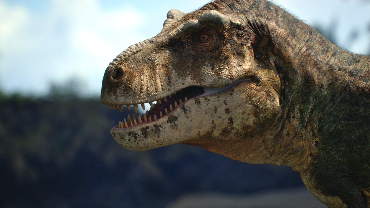 raftingzalmoxes's tweet photo. #PrehistoricPlanet
That huge, iconic head... https://t.co/yA4yxAELhL