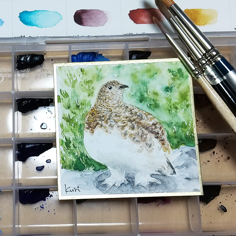 #色鉛筆水彩強化マラソン2025

17日め ライチョウ
ぶっとい＆もふもふな足がチャームポイント

使用画材：
紙：姫・豆色紙(ホワイトワトソン)
ホルベイン透明水彩